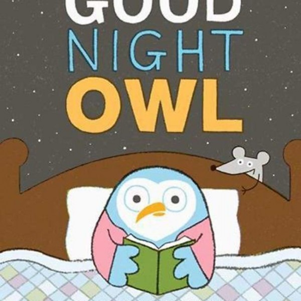 goodnight owl 晚安猫头鹰(厚页书)