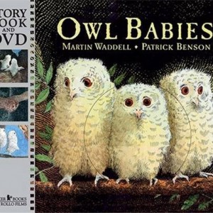 Owl Babies (Book+DVD) 貓頭鷹寶貝 (附CD)